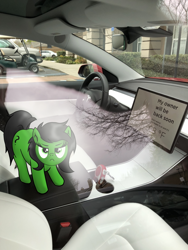Size: 1965x2619 | Tagged: safe, artist:eel's stuff, oc, oc only, oc:anon filly, earth pony, pony, black mane, black tail, car, earth pony oc, female, filly, green coat, green eyes, irl, leash, looking at you, photo, ponies in real life, ponified animal photo, solo, tesla, text