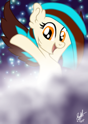 Size: 659x923 | Tagged: safe, artist:aquabright0219, derpibooru import, oc, oc only, oc:phoenix feather, earth pony, pony, cloud, ear fluff, ears, earth pony oc, eyelashes, night, open mouth, signature, smiling, solo, stars