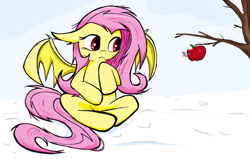 Size: 1280x816 | Tagged: safe, artist:sallycars, derpibooru import, fluttershy, bat pony, pony, worm, apple, apple worm, bat ponified, flutterbat, food, race swap, sitting, snow, solo, tree branch