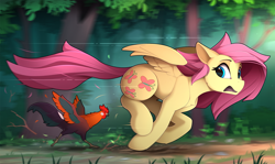 Size: 2410x1435 | Tagged: safe, artist:yakovlev-vad, derpibooru import, fluttershy, bird, chicken, pegasus, pony, rooster, adorable distress, alektorophobia, animal, chase, female, forest, looking back, mare, open mouth, running, wings