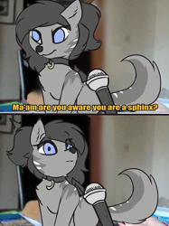 Size: 2464x3300 | Tagged: safe, artist:beardie, derpibooru import, oc, oc only, oc:crescent, sphinx, are you aware you are a pony, bat wings, cat meme, chest fluff, collar, comic, female, fluffy, meme, microphone, no pupils, solo, species swap, sphinx oc, sphinxified, wat, wings