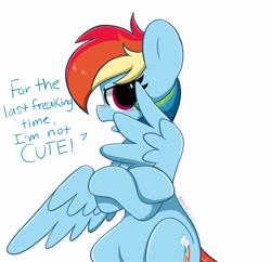 Size: 4096x3959 | Tagged: safe, artist:kittyrosie, derpibooru import, rainbow dash, pegasus, pony, annoyed, backwards cutie mark, blatant lies, blushing, cute, dashabetes, denial, denial's not just a river in egypt, hiding behind wing, i'm not cute, simple background, talking to viewer, tsunderainbow, tsundere, white background, wings