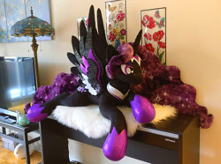 Size: 938x699 | Tagged: safe, artist:purplenebulastudios, derpibooru import, oc, oc:lady nebula, alicorn, pony, female, irl, mare, photo, plushie, solo