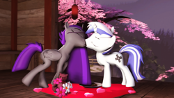 Size: 1920x1080 | Tagged: safe, artist:scratch_wub, derpibooru import, oc, oc only, oc:etheria galaxia, oc:scratch wub, alicorn, pony, unicorn, 3d, cherry blossom tree, chocolate, duo, female, flower, food, glasses, heart, holiday, horn, kissing, male, mare, oc x oc, shipping, source filmmaker, stallion, teddy bear, valentine's day, wings