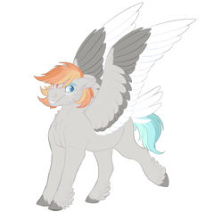 Size: 2000x1900 | Tagged: safe, artist:uunicornicc, derpibooru import, oc, pegasus, pony, colored wings, heterochromia, magical lesbian spawn, multicolored wings, offspring, parent:daring do, parent:rainbow dash, parents:daringdash, solo, tail feathers, wings