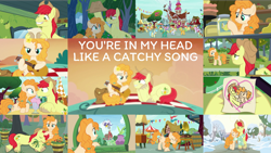 Size: 1968x1108 | Tagged: safe, derpibooru import, edit, edited screencap, editor:quoterific, screencap, bright mac, candy apples, chelsea porcelain, grand pear, granny smith, pear butter, pearly stitch, bird, earth pony, pony, the perfect pear, apple family member, bipedal, bipedal leaning, blushing, bright mac's hat, clothes, cowboy hat, duo, eyes closed, female, guitar, hat, leaning, male, mountain tune, mouth hold, musical instrument, open mouth, rain, scarf, shipping, smoothie, solo, spring harvest, straight, sugarcube corner, teeth, vibrant melody, you're in my head like a catchy song, young granny smith, younger