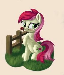 Size: 2470x2882 | Tagged: safe, artist:flusanix, derpibooru import, roseluck, earth pony, pony, blushing, female, fence, flower, mare, mouth hold, raised hoof, raised leg, rose, solo