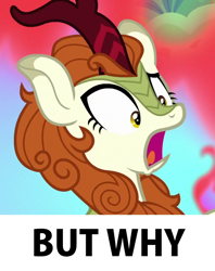 Size: 650x820 | Tagged: safe, derpibooru import, edit, edited screencap, screencap, autumn blaze, kirin, sounds of silence, reaction image, solo, why