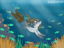 Size: 1440x1080 | Tagged: safe, artist:wolfspirit1292, derpibooru import, oc, fish, pegasus, pony, seapony (g4), blue eyes, bubble, clothes, coral, crepuscular rays, dorsal fin, fin wings, fish tail, flowing mane, flowing tail, looking up, ocean, open mouth, seaponified, seaweed, see-through, smiling, solo, species swap, starfish, sunlight, swimming, underwater, water, wings