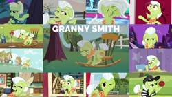 Size: 1968x1109 | Tagged: safe, derpibooru import, edit, edited screencap, editor:quoterific, screencap, granny smith, earth pony, pony, a trivial pursuit, all bottled up, apple family reunion, buckball season, friendship is magic, going to seed, grannies gone wild, hearthbreakers, luna eclipsed, sisterhooves social, sleepless in ponyville, the big mac question, the perfect pear, book, breaking the fourth wall, eyes closed, female, looking at you, one eye closed, open mouth, sitting, solo, sports, teeth, tree, wink, young granny smith, younger