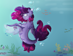 Size: 920x700 | Tagged: safe, artist:nuggdoodles, derpibooru import, oc, oc only, seapony (g4), bubble, clothes, coral, crepuscular rays, dorsal fin, female, fin wings, fins, fish tail, flowing mane, flowing tail, ocean, seaweed, see-through, smiling, solo, sunlight, tail, underwater, water, wings