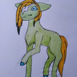 Size: 1080x1080 | Tagged: safe, artist:_shotataarts_, derpibooru import, oc, oc only, earth pony, pony, bandage, chest fluff, colored hooves, earth pony oc, female, mare, raised hoof, raised leg, solo, traditional art