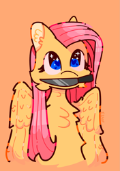 Size: 1039x1476 | Tagged: safe, artist:simple24fox, derpibooru import, fluttershy, pegasus, pony, heart eyes, knife, mouth hold, orange background, simple background, solo, wingding eyes, yandereshy