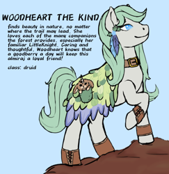 Size: 500x514 | Tagged: safe, artist:valientminiatureobject, derpibooru import, earth pony, pony, cloak, crossover, druid, dungeons and dragons, feather, hoof shoes, looking to side, looking to the right, ponified, solo, woodheart the kind