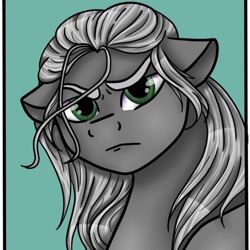 Size: 1080x1080 | Tagged: safe, alternate version, artist:pony_riart, derpibooru import, earth pony, pony, bust, frown, geralt of rivia, male, ponified, solo, stallion, the witcher