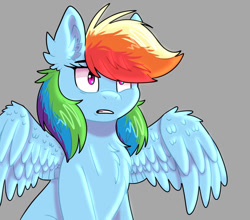 Size: 1280x1127 | Tagged: safe, artist:disphyxia, derpibooru import, rainbow dash, pegasus, pony, chest fluff, ear fluff, ears, female, gray background, mare, simple background, solo, spread wings, wings