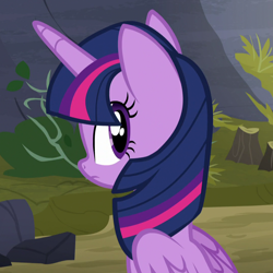 Size: 1080x1080 | Tagged: safe, derpibooru import, screencap, twilight sparkle, twilight sparkle (alicorn), alicorn, pony, the hooffields and mccolts, cute, female, looking back, mare, sitting, solo, twiabetes