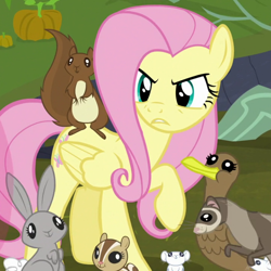 Size: 720x720 | Tagged: safe, derpibooru import, screencap, fluttershy, bird, chipmunk, duck, ferret, mouse, pegasus, pony, squirrel, the hooffields and mccolts, angry, cropped, female, male, mare, raised hoof, raised leg, solo, teeth