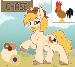 Size: 2925x2616 | Tagged: safe, artist:beardie, derpibooru import, oc, oc only, earth pony, pony, hat, reference sheet