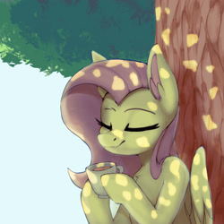 Size: 2000x2000 | Tagged: safe, artist:thesas110, derpibooru import, fluttershy, pegasus, pony, bust, chest fluff, chocolate, cute, dappled sunlight, eyes closed, female, folded wings, food, high res, hoof hold, hot chocolate, mare, mug, outdoors, shyabetes, smiling, solo, three quarter view, tree, under the tree, wings