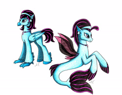 Size: 2777x2160 | Tagged: safe, artist:nightmareadagio, derpibooru import, oc, oc only, classical hippogriff, hippogriff, seapony (g4), beak, claws, clothes, colored pupils, dorsal fin, ear piercing, earring, female, fin wings, fins, flowing mane, flowing tail, folded wings, jewelry, necklace, piercing, purple eyes, see-through, signature, simple background, smiling, solo, traditional art, white background, wings