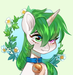 Size: 3562x3670 | Tagged: safe, artist:aphphphphp, derpibooru import, oc, oc only, oc:sugarstar, pony, unicorn, absurd resolution, bell, bell collar, bust, collar, flower, portrait, simple background, solo