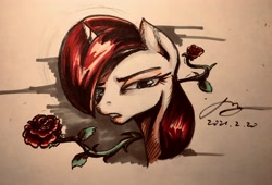 Size: 4032x2740 | Tagged: safe, artist:musical ray, derpibooru import, oc, pony, unicorn, bust, female, flower, rose, solo, traditional art