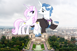 Size: 1300x867 | Tagged: safe, derpibooru import, fancypants, fleur-de-lis, pony, unicorn, female, giant pony, giantess, highrise ponies, irl, macro, male, mare, paris, photo, ponies in real life, stallion, story included