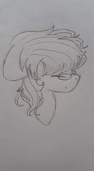 Size: 528x960 | Tagged: safe, artist:aleuoliver, derpibooru import, oc, oc only, earth pony, pony, earth pony oc, eyes closed, glasses, hat, lineart, solo, traditional art