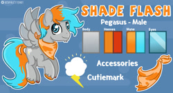 Size: 1280x691 | Tagged: safe, artist:redpalette, derpibooru import, oc, oc:shade flash, pegasus, commission, cute, cutie mark, male, neckerchief, pegasus oc, reference sheet, stallion, wings