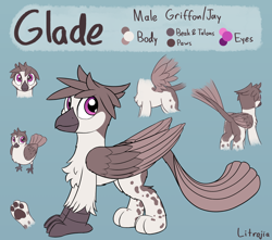 Size: 2600x2300 | Tagged: safe, artist:litrojia, derpibooru import, oc, oc only, oc:glade, bird, griffon, butt, chest fluff, griffon oc, male, paws, reference sheet, spots, spread wings, standing, tail feathers, two toned wings, underpaw, wings