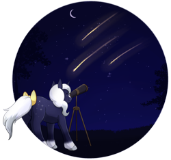 Size: 1024x958 | Tagged: safe, artist:foxhatart, derpibooru import, oc, oc only, oc:moonlight, pony, unicorn, bow, female, mare, shooting star, solo, tail bow, telescope