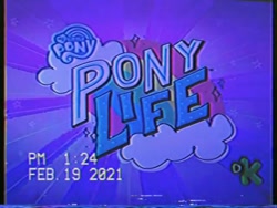 Size: 640x480 | Tagged: safe, artist:grandescartoons, derpibooru import, screencap, my little pony: pony life, discovery kids, discovery kids logo, logo, my little pony logo, photo, picture of a screen, vhs