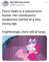 Size: 717x902 | Tagged: safe, derpibooru import, pinkie pie, princess flurry heart, the crystalling, meta, my little pony facts, twitter, twitter link