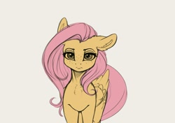 Size: 3020x2128 | Tagged: safe, artist:miokomata, derpibooru import, fluttershy, pegasus, pony, ears, female, floppy ears, freckles, freckleshy, looking at you, mare, simple background, solo, wip