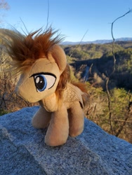 Size: 3024x4032 | Tagged: safe, derpibooru import, oc, oc only, pegasus, pony, blue eyes, brown coat, brown mane, brown tail, irl, pegasus oc, photo, plushie, solo, wings