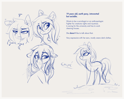 Size: 2880x2298 | Tagged: safe, artist:aureai-sketches, derpibooru import, oc, oc only, oc:chloé, earth pony, pony, expressions, female, mare, simple background, sketch, solo