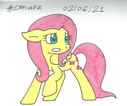 Size: 1010x843 | Tagged: safe, artist:cmara, derpibooru import, fluttershy, pegasus, pony, female, gritted teeth, mare, raised hoof, raised leg, scared, simple background, solo, traditional art, white background