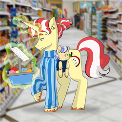 Size: 1024x1024 | Tagged: safe, artist:usagi-kinnie, derpibooru import, flim, oc, oc:ruby rhapsody, pony, unicorn, baby, baby carrier, baby pony, basket, duo, father and child, father and daughter, female, filly, levitation, magic, male, offspring, parent and child, parent:flim, parent:sapphire shores, shopping, stallion, telekinesis