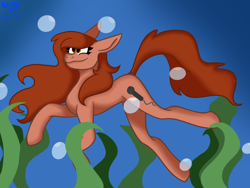Size: 2048x1536 | Tagged: safe, artist:revenge.cats, derpibooru import, earth pony, pony, chantal claret, flowing mane, ponified, smiling, solo, swimming