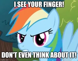 Size: 566x441 | Tagged: safe, artist:thegamerpainter, screencap, pegasus, pony, image macro, looking at you, meme, solo, spread wings, this will end in boops