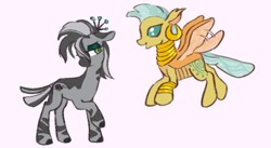 Size: 540x296 | Tagged: safe, artist:fizpup, derpibooru import, queen chrysalis, zecora, changedling, changeling, zebra, bracelet, ear piercing, earring, female, flying, jewelry, lesbian, lidded eyes, mare, neck rings, piercing, quadrupedal, role reversal, simple background, species swap, white background, zebrafied, zecoralis