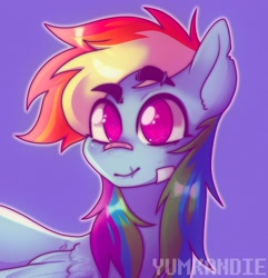 Size: 1080x1122 | Tagged: safe, artist:yumkandie, derpibooru import, rainbow dash, pegasus, pony, bust, eyebrows, eyebrows visible through hair, no pupils, nose bandaid, purple background, scar, simple background, solo, torn ear