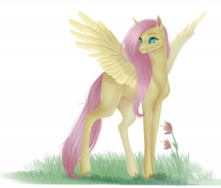 Size: 1920x1634 | Tagged: safe, artist:killah9, derpibooru import, fluttershy, pegasus, pony, female, grass, mare, missing cutie mark, semi-realistic, solo