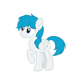 Size: 3650x3650 | Tagged: safe, artist:sporadic night, derpibooru import, oc, oc:snowy welkin, pegasus, male, solo