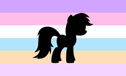 Size: 5000x3000 | Tagged: safe, derpibooru import, rainbow dash, pegasus, ponygender, pride flag