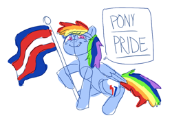 Size: 754x519 | Tagged: safe, anonymous artist, derpibooru import, rainbow dash, pegasus, pony, dialogue, female, flag, mare, ponysexuality flag, pride, pride flag, simple background, solo, white background