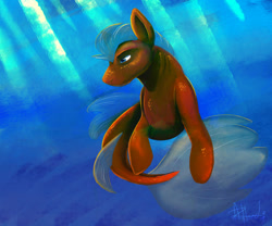 Size: 1280x1067 | Tagged: safe, artist:scruffasus, derpibooru import, oc, oc only, seapony (g4), blue background, blue eyes, brush, clothes, crepuscular rays, dorsal fin, fin wings, fish tail, ocean, patreon, patreon reward, pencil drawing, see-through, signature, simple background, solo, sunlight, swimming, tail, traditional art, underwater, water, wings