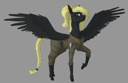 Size: 4000x2600 | Tagged: safe, artist:stray prey, derpibooru import, oc, oc only, oc:veen sundown, pegasus, braided tail, clothes, female, mare, simple background, solo, spread wings, sundown clan, wings