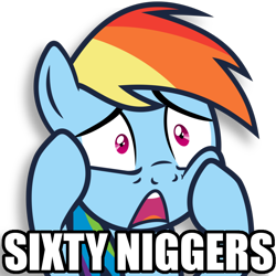 Size: 894x894 | Tagged: artist needed, source needed, safe, rainbow dash, pegasus, pony, female, image macro, impact font, niggers, simple background, solo, stare, text, transparent background, worried